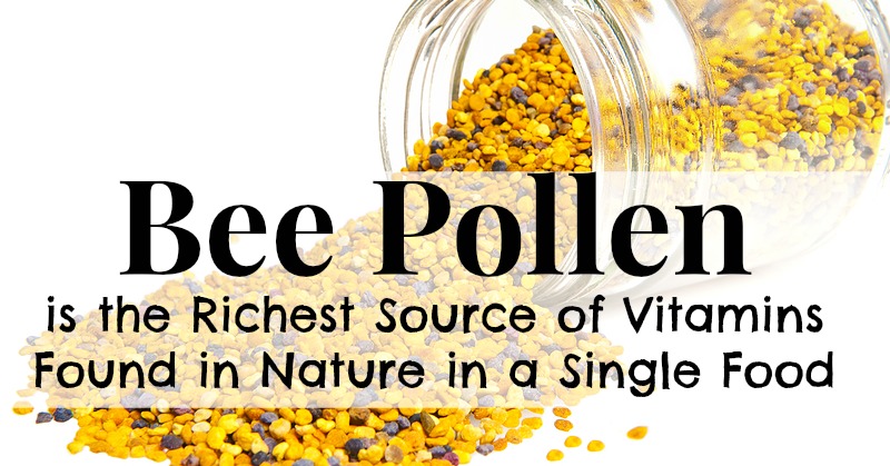 bee-pollen-grains1418